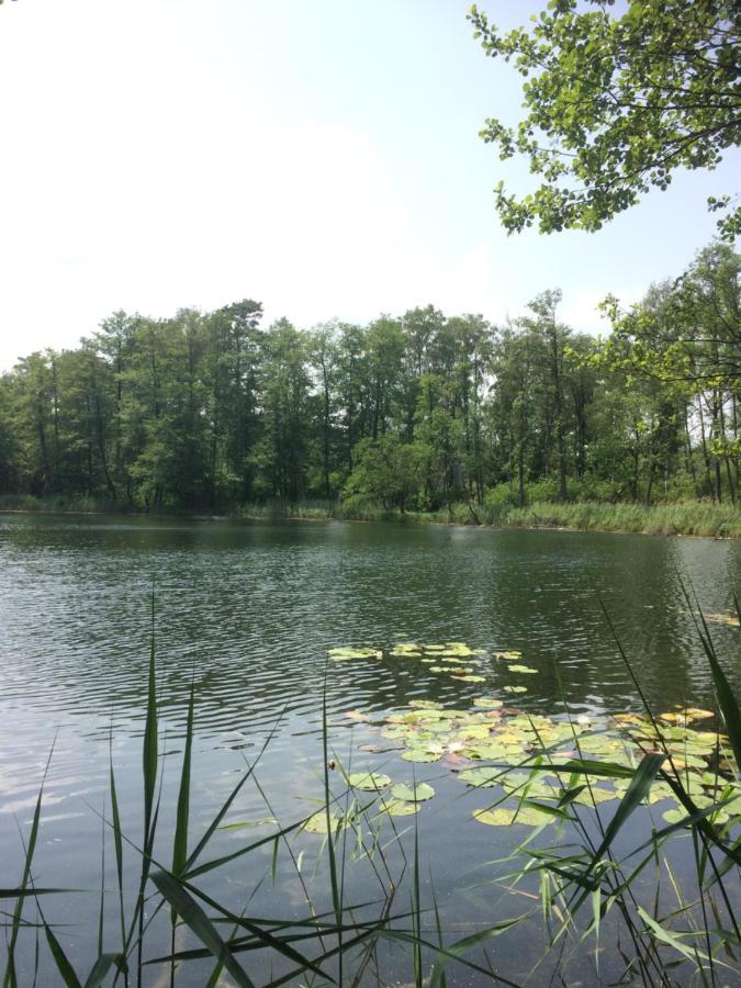 Bed and Breakfast Satnatorium Tuczno Екстер'єр фото