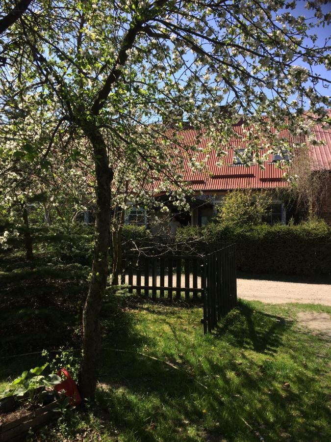 Bed and Breakfast Satnatorium Tuczno Екстер'єр фото